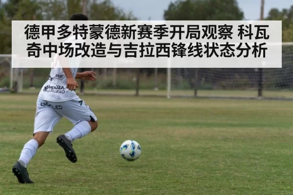 soccer striker shot